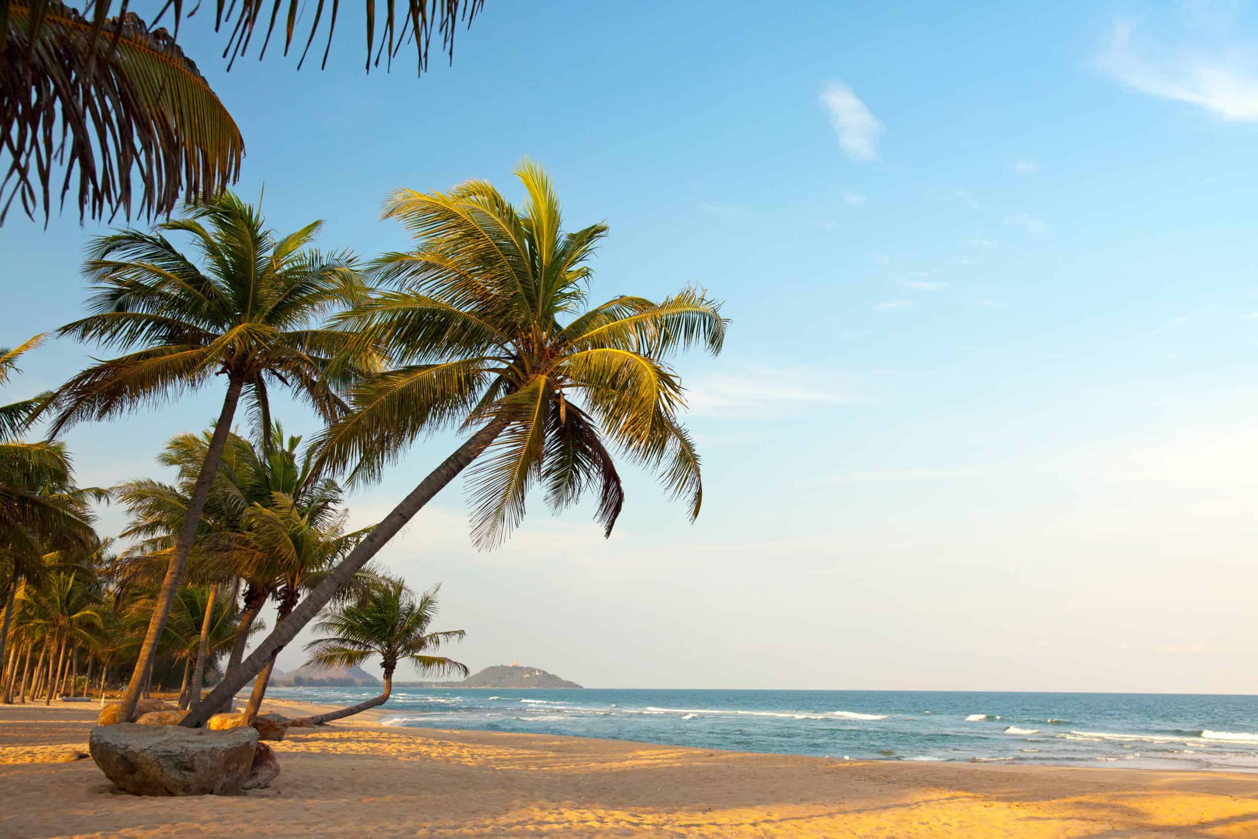 Paradise Beach Tour